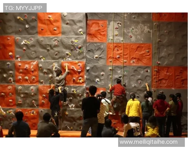 成都攀岩队心理素质对比分析及其对竞技表现的影响探讨MBA