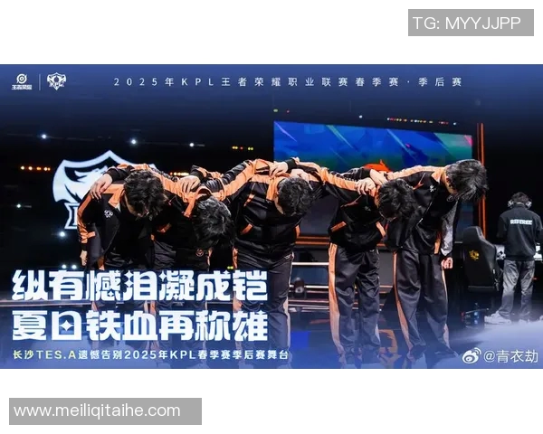 挑战者杯特别报道：TES战队的崛起与成长之路揭秘